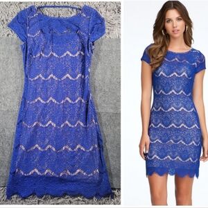 Bebe | Royal Blue Lace Open Back Bodycon Mini Dress Cocktail Party Date Night S